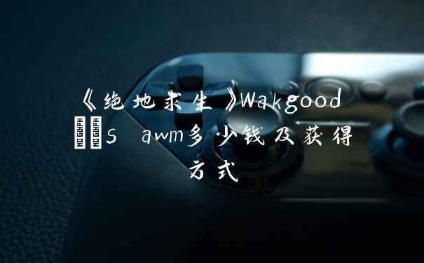 《绝地求生》Wakgood's awm多少钱及获得方式