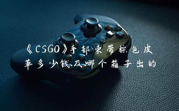 《CSGO》手部束带棕色皮革多少钱及哪个箱子出的