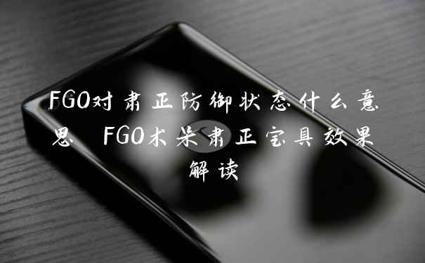 FGO对肃正防御状态什么意思 FGO术呆肃正宝具效果解读