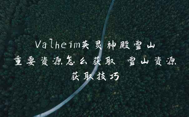 Valheim英灵神殿雪山重要资源怎么获取 雪山资源获取技巧