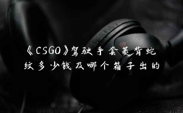 《CSGO》驾驶手套菱背蛇纹多少钱及哪个箱子出的