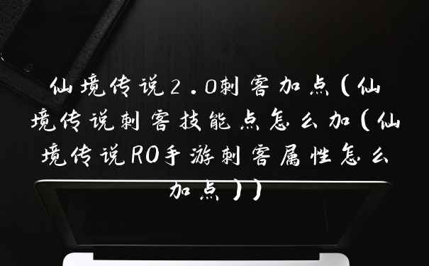 仙境传说2.0刺客加点（仙境传说刺客技能点怎么加（仙境传说RO手游刺客属性怎么加点））