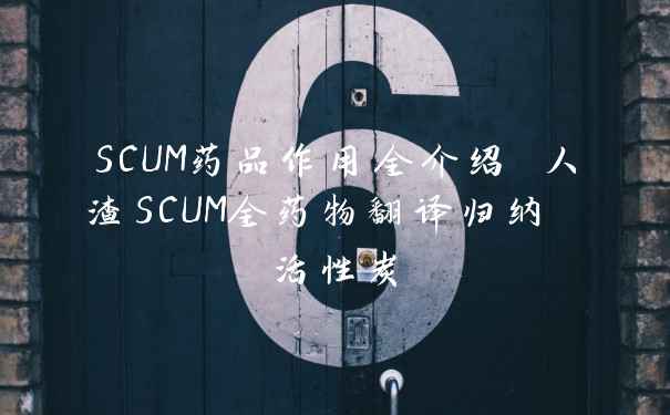 SCUM药品作用全介绍 人渣SCUM全药物翻译归纳 活性炭