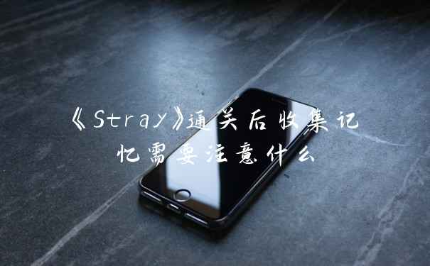 《Stray》通关后收集记忆需要注意什么