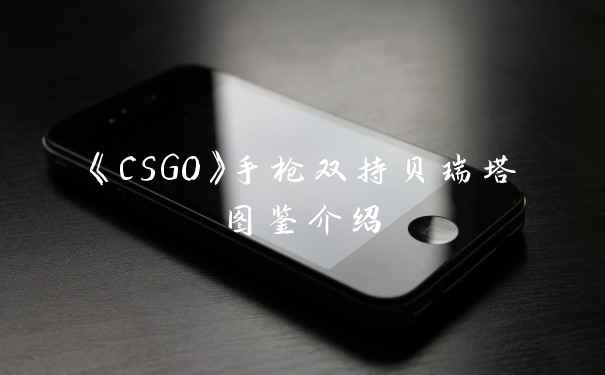 《CSGO》手枪双持贝瑞塔图鉴介绍