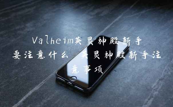 Valheim英灵神殿新手要注意什么 英灵神殿新手注意事项