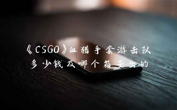 《CSGO》血猎手套游击队多少钱及哪个箱子出的