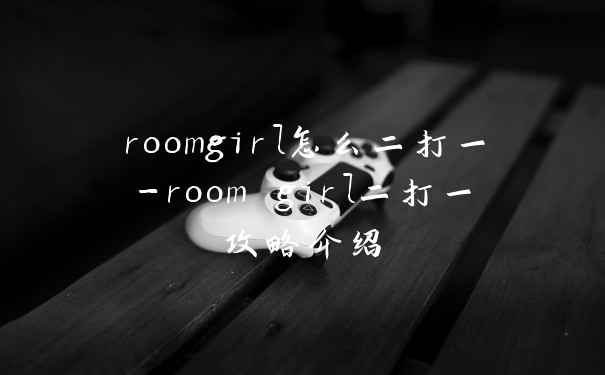 roomgirl怎么二打一-room girl二打一攻略介绍