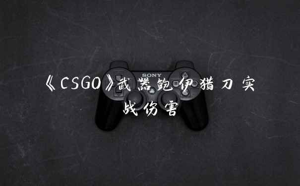 《CSGO》武器鲍伊猎刀实战伤害