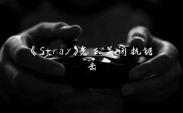 《Stray》怎么关闭抗锯齿