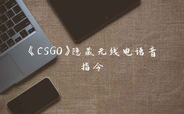 《CSGO》隐藏无线电语音指令