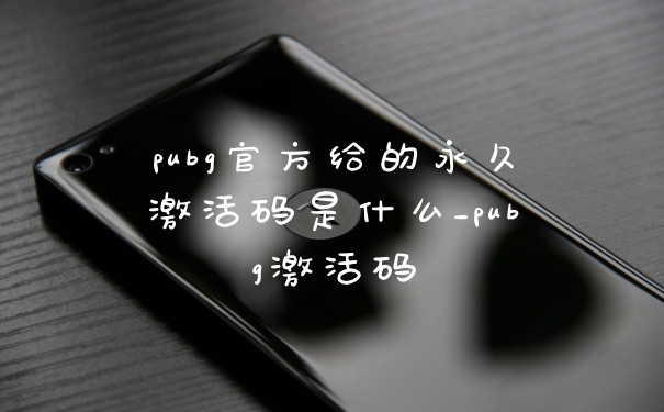 pubg官方给的永久激活码是什么_pubg激活码