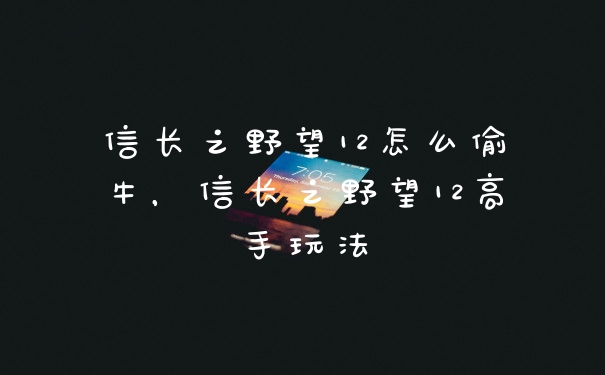 信长之野望12怎么偷牛，信长之野望12高手玩法