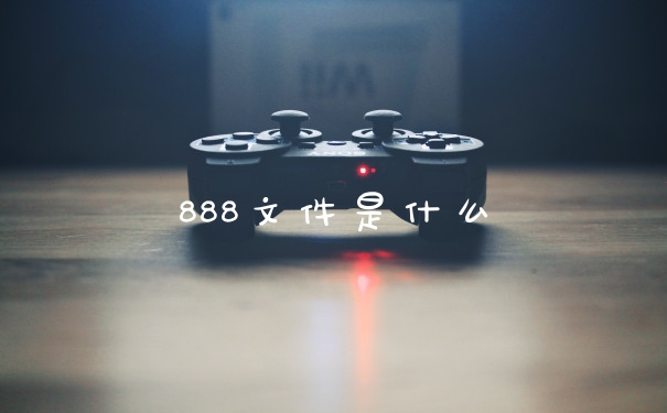 888文件是什么