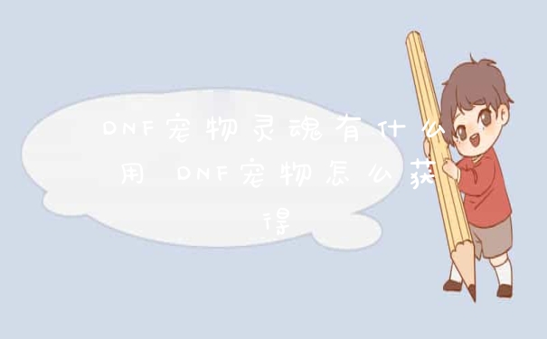 DNF宠物灵魂有什么用 DNF宠物怎么获得