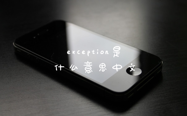 exception是什么意思中文