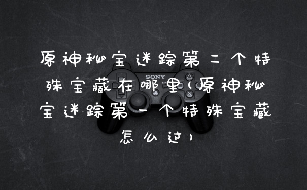 原神秘宝迷踪第二个特殊宝藏在哪里(原神秘宝迷踪第一个特殊宝藏怎么过)