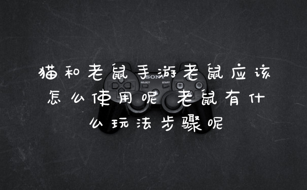 猫和老鼠手游老鼠应该怎么使用呢 老鼠有什么玩法步骤呢