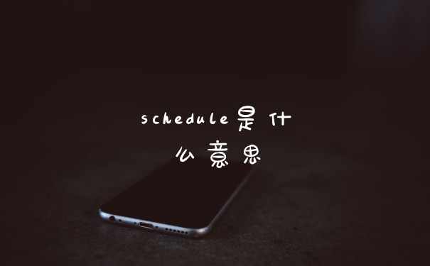 schedule是什么意思