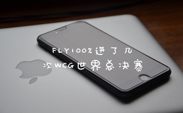 FLY100%进了几次WCG世界总决赛