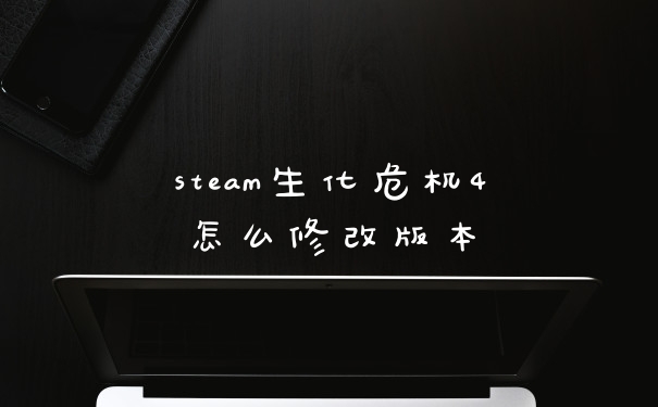 steam生化危机4怎么修改版本