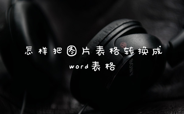 怎样把图片表格转换成word表格