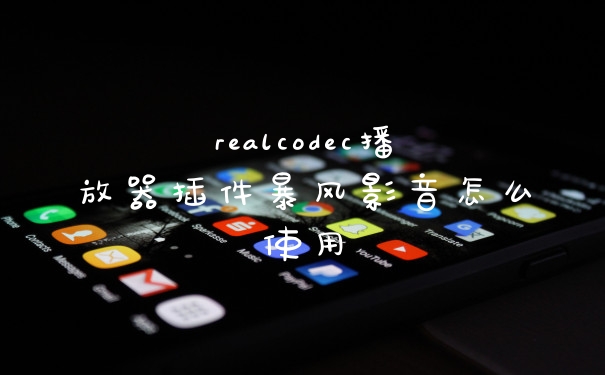 realcodec播放器插件暴风影音怎么使用