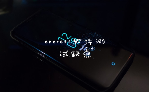 everest软件测试缺点