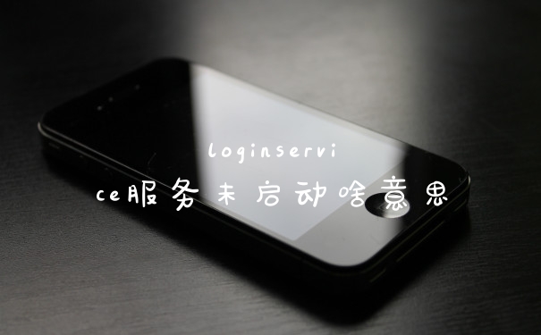 loginservice服务未启动啥意思