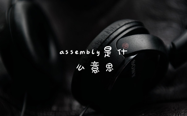 assembly是什么意思