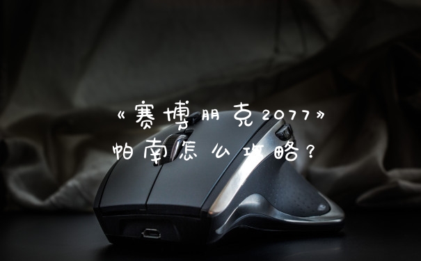 《赛博朋克2077》帕南怎么攻略？