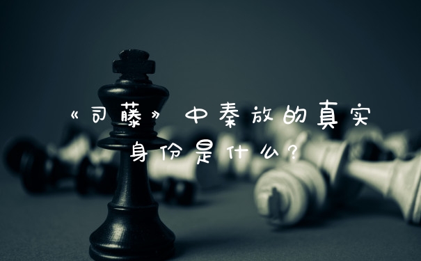 《司藤》中秦放的真实身份是什么?