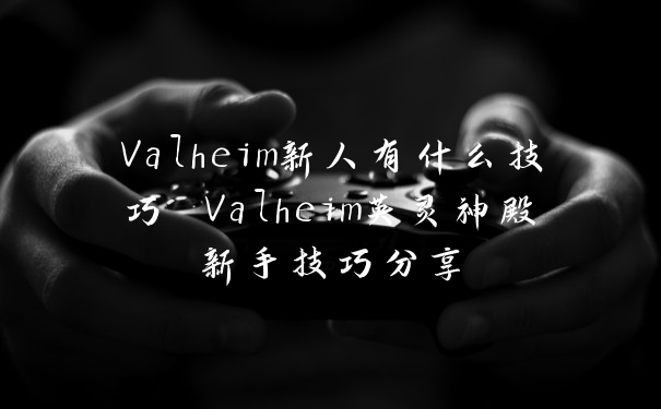 Valheim新人有什么技巧 Valheim英灵神殿新手技巧分享