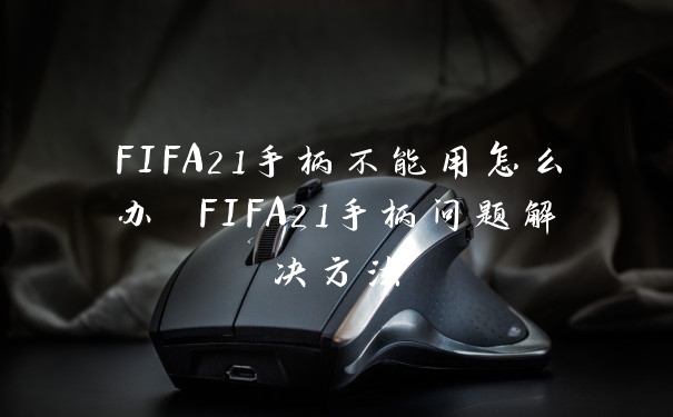 FIFA21手柄不能用怎么办 FIFA21手柄问题解决方法